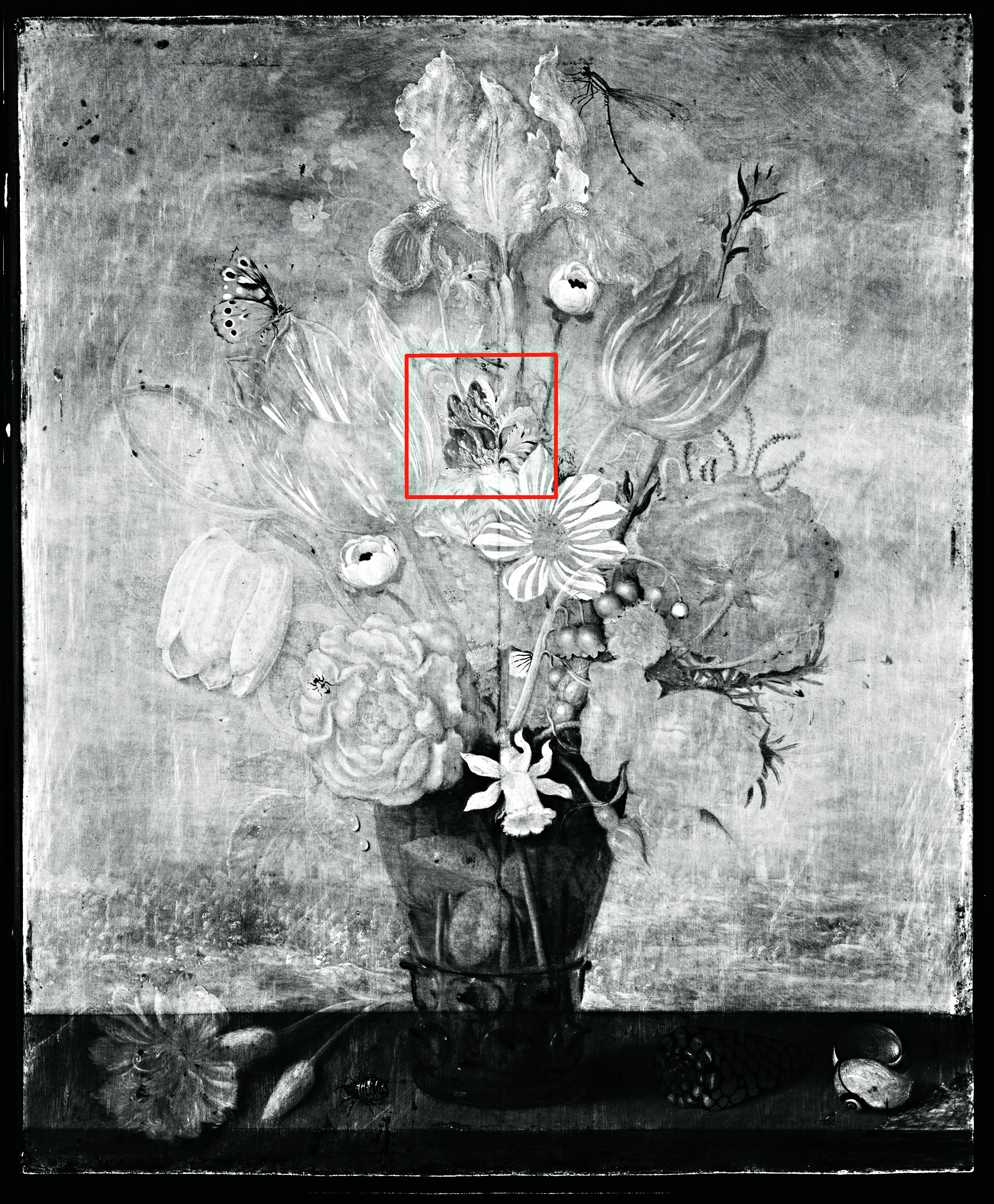 Image produced via Infrared Reflectography (IRR) of Ambrosius Bosschaert the Elder’s, Bouquet of Flowers on a Ledge, 1619, Los Angeles County Museum of Art, gift of Mr. and Mrs. Edward W. Carter, photo © Museum Associates/LACMA Conservation, by Yosi Pozeilov