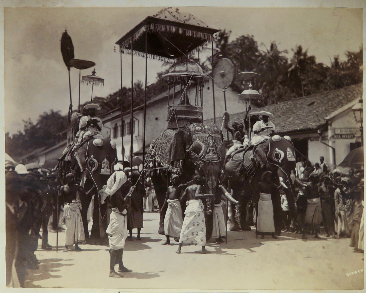 Charles T. Scowen & Co., Caparisoned Elephant Carrying the Tooth Relic in Procession, Sri Lanka, Kandy, c. 1880–90, Collection of Catherine Glynn Benkaim and Barbara Timmer, photo courtesy of the lender