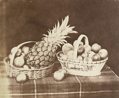 William Henry Fox Talbot, A Fruit Piece, 1844–46, the Marjorie and Leonard Vernon Collection, gift of The Annenberg Foundation, acquired from Carol Vernon and Robert Turbin
