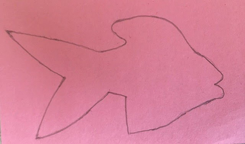 Outline of a fish drawn on pink paper