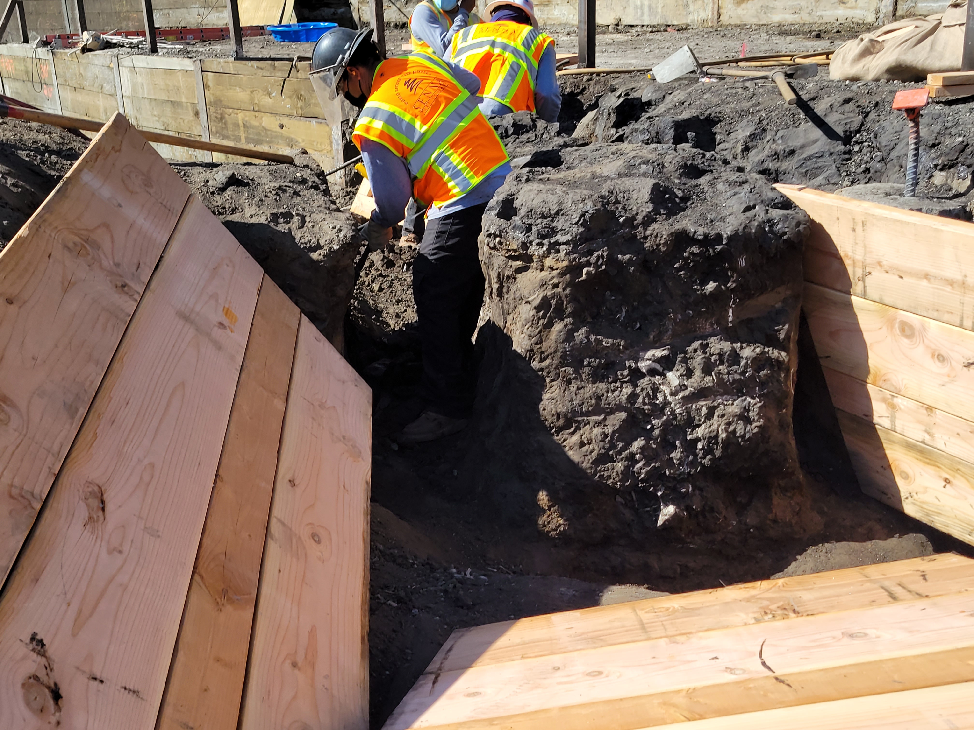 Large fossil deposit and planks of wood in construction site