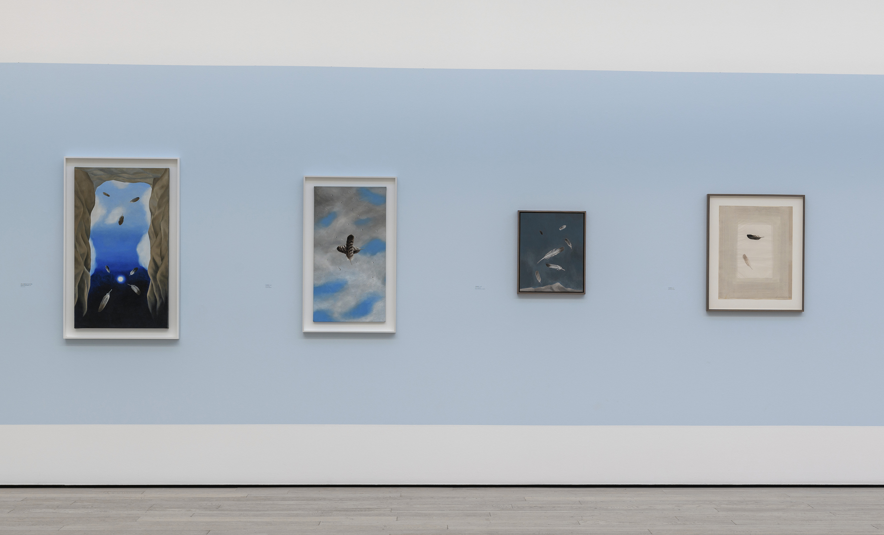 Installation photograph, Luchita Hurtado: I Live I Die I Will Be Reborn, Los Angeles County Museum of Art, 2020, art © Luchita Hurtado, photo © Museum Associates/LACMA. Installation view of paintings incorporating the feather motif.