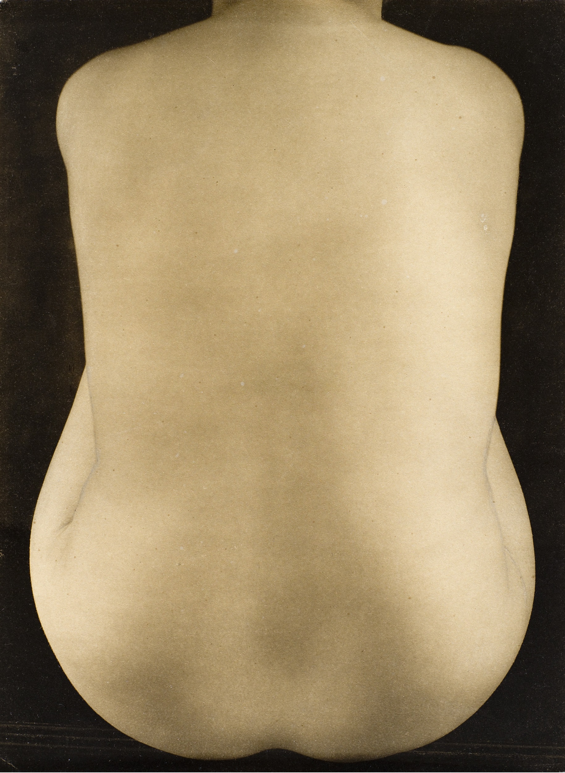 Edward Weston, Nude (Anita Brenner), 1925, Los Angeles County Museum of Art, The Marjorie and Leonard Vernon Collection, gift of The Annenberg Foundation, and promised gift of Carol Vernon and Robert Turbin, © 1981 Center for Creative Photography, Arizona Board of Regents