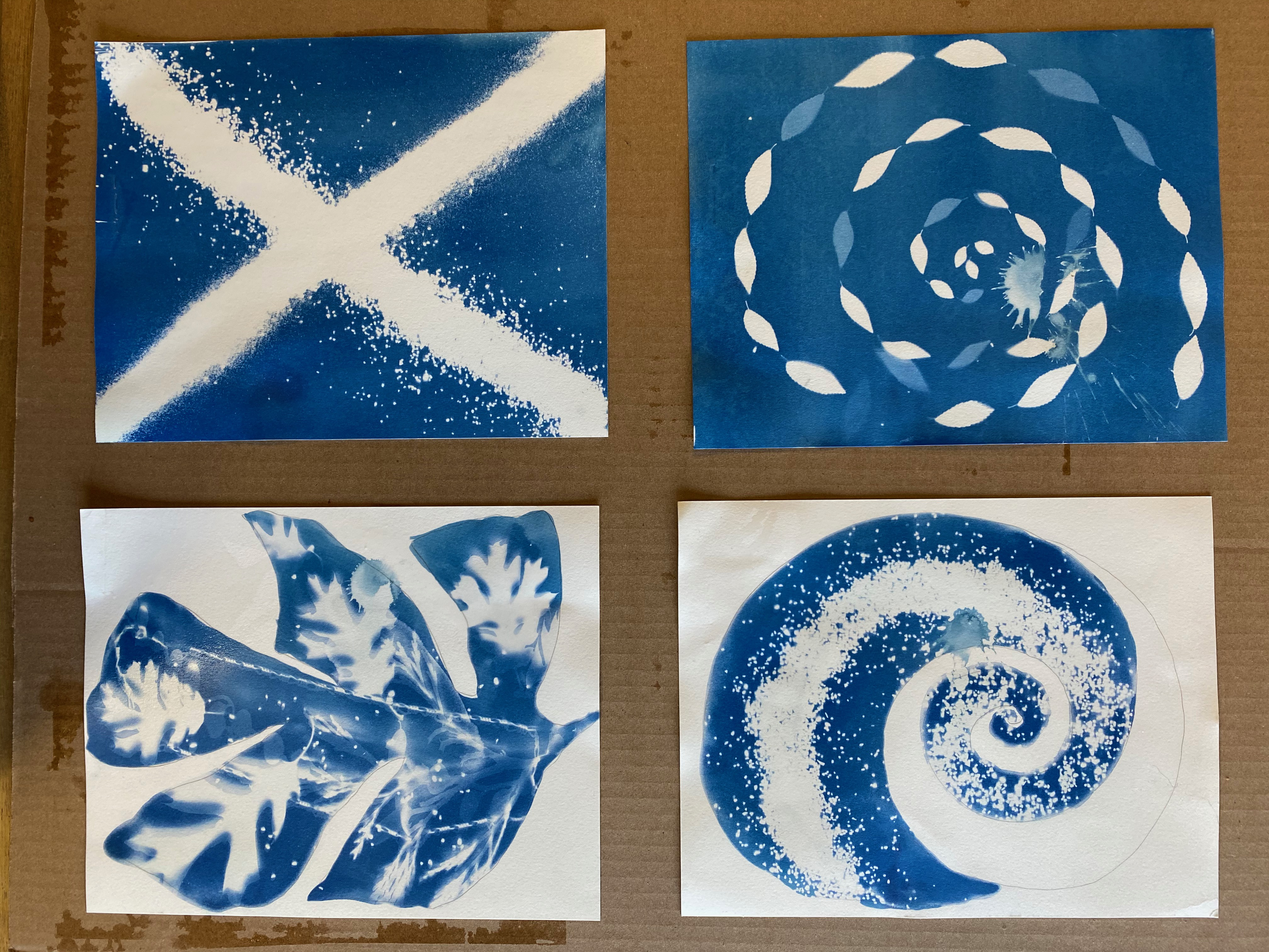 Cyanotype on Holiday — EngelBelle