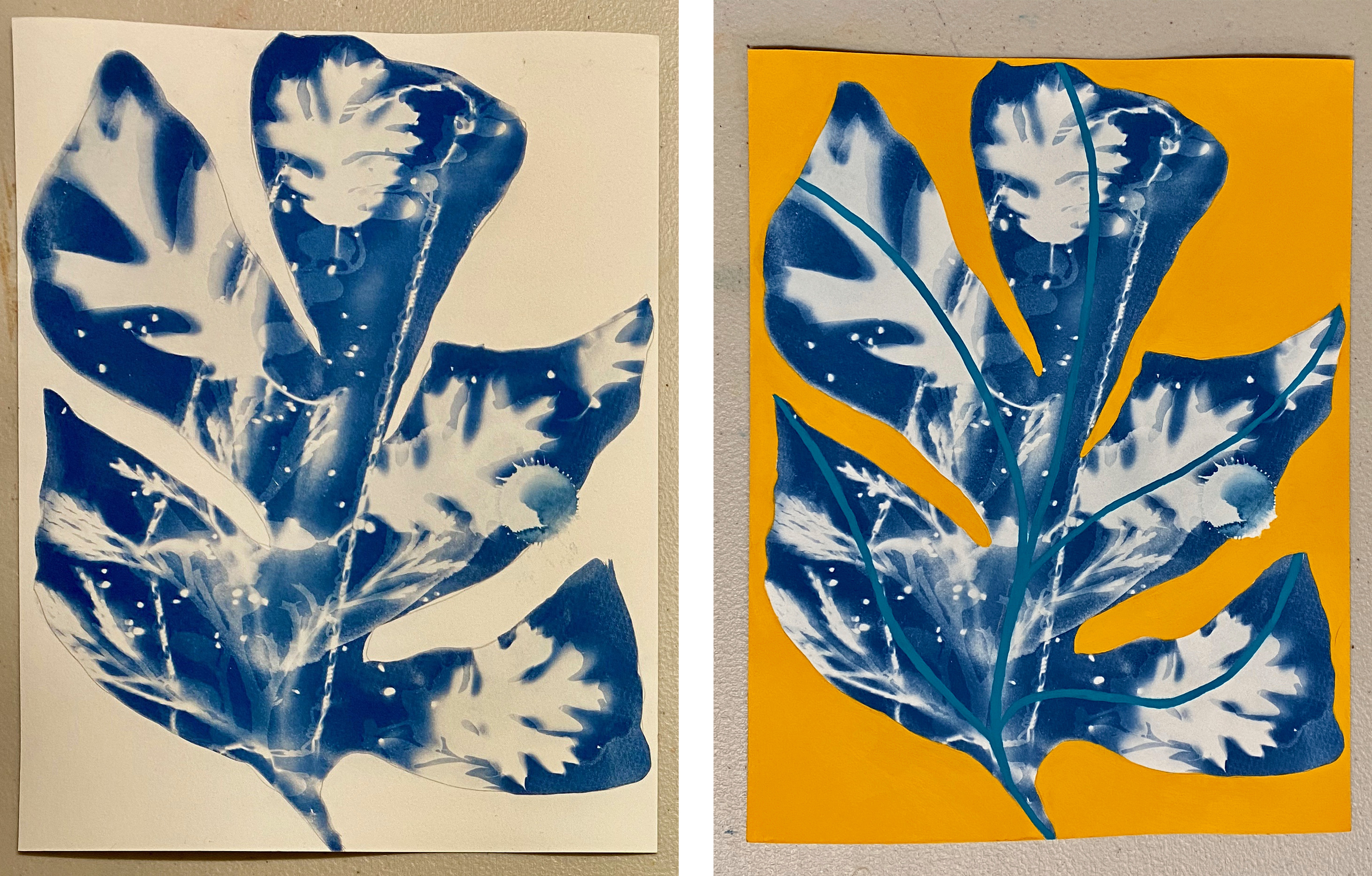 Cyanotype on Holiday — EngelBelle