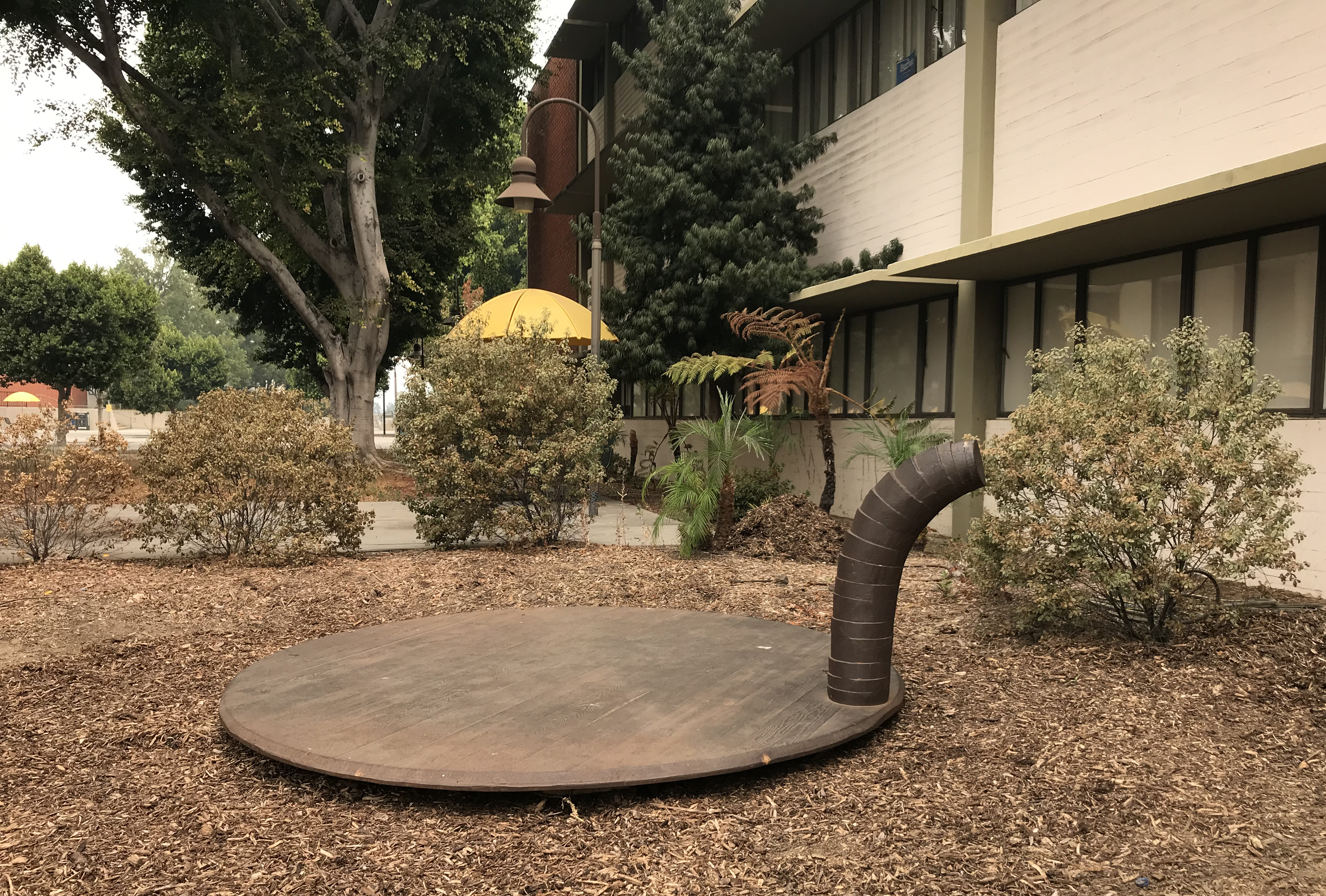 Installation photograph, featuring Martin Puryear's Decoy, 1990, at California State University, Los Angeles, September 2020, Los Angeles County Museum of Art, purchased with funds provided by the Art Museum Council and the Flintridge Foundation, 1991, © Martin Puryear