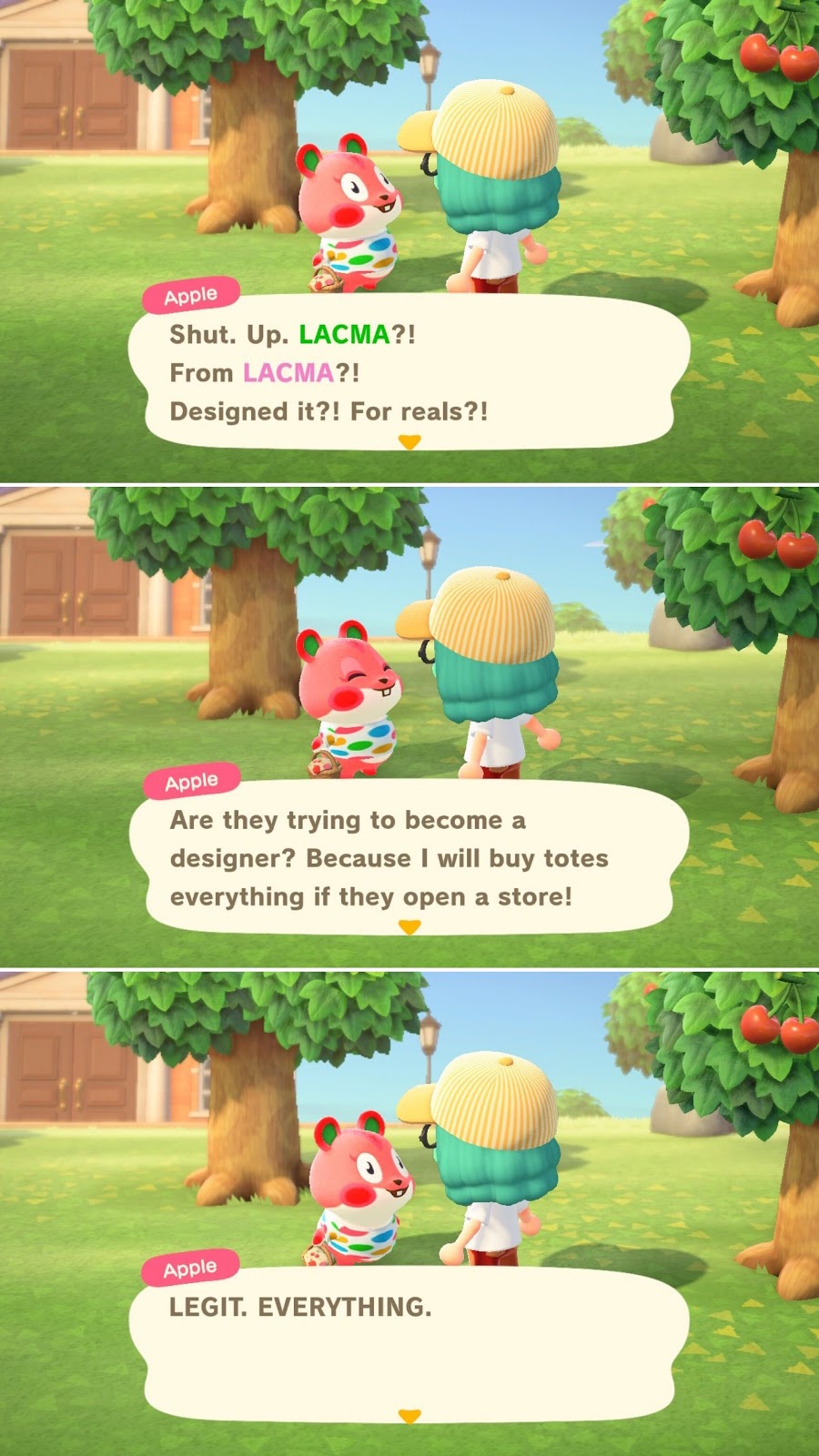 Interaction between two players in Animal Crossing