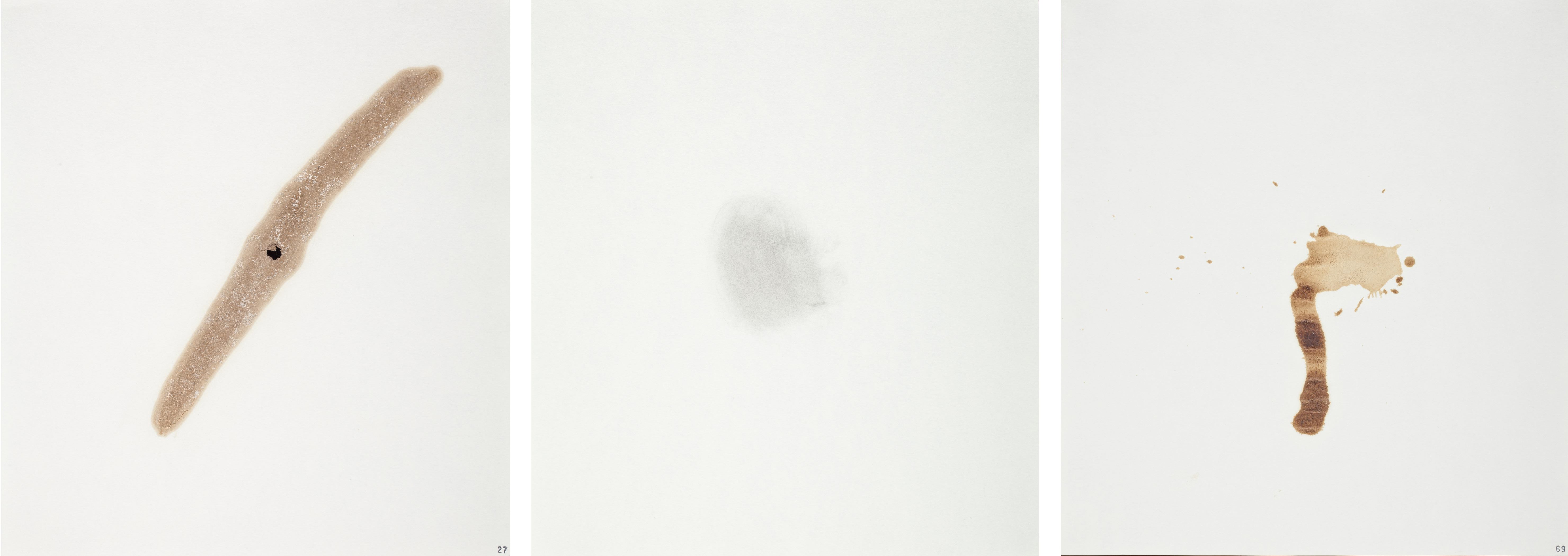 From left: Edward Ruscha, Sulfuric Acid (Mallinckrodt) from Stains, 1969, Los Angeles County Museum of Art, gift of JP Morgan Chase, © Edward J. Ruscha IV, photo © Museum Associates/LACMA; Edward Ruscha, Gunpowder (DuPont superfine) from Stains, 1969, Los Angeles County Museum of Art, gift of JP Morgan Chase, © Edward J. Ruscha IV, photo © Museum Associates/LACMA; Edward Ruscha, Worcestershire Sauce (Lea & Perrins) from Stains, 1969, Los Angeles County Museum of Art, gift of JP Morgan Chase, © Edward J. Ruscha IV, photo © Museum Associates/LACMA