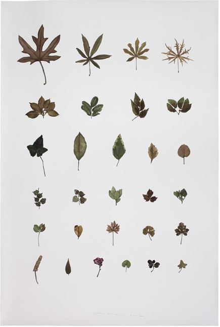 Guo Hongwei, Plant No. 9, 2012, Los Angeles County Museum of Art, gift of Dick Ting-Chung Chen, image courtesy of Chambers Fine Art, ©  Guo Hongwei