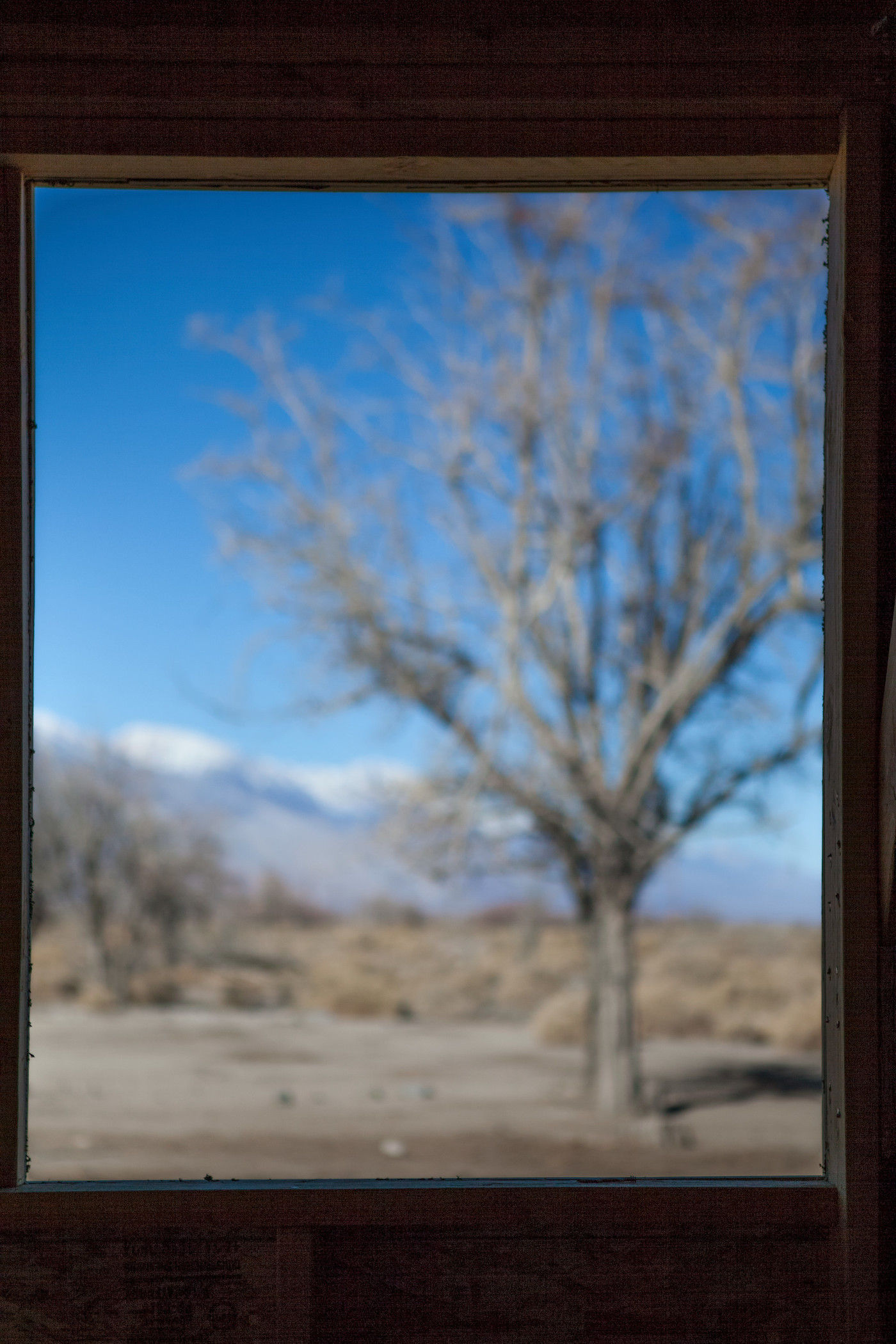 Christina Fernandez, Toyo (Manzanar), 2016, Los Angeles County Museum of Art, purchased with funds provided by Sharyn and Bruce Charnas, Dr. Janet Mohle-Boetani, and the Ralph M. Parsons Fund, © Christina Fernandez