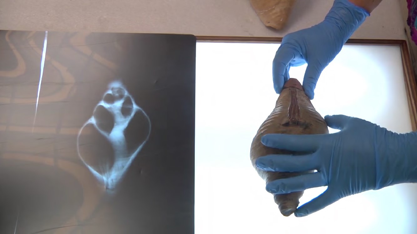 Researching ancient ceramics using x-ray