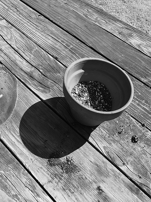 Black and white image of a terra cotta pot on a wood table