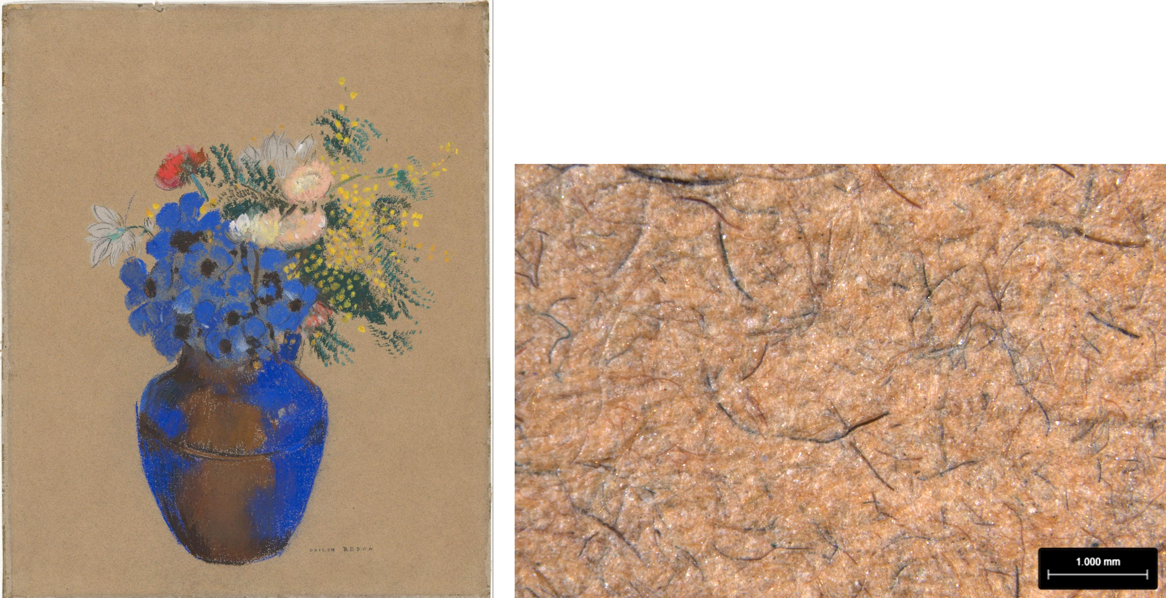 Left: Odilon Redon, Vase of Flowers, about 1900–05, pastel on paper, The Armand Hammer Collection, gift of Dr. Armand Hammer, Hammer Museum, Los Angeles, AH.91.31; right: Photomicrograph of the pastel’s paper support showing numerous blue fibers. Image: Getty Museum. © J. Paul Getty Trust