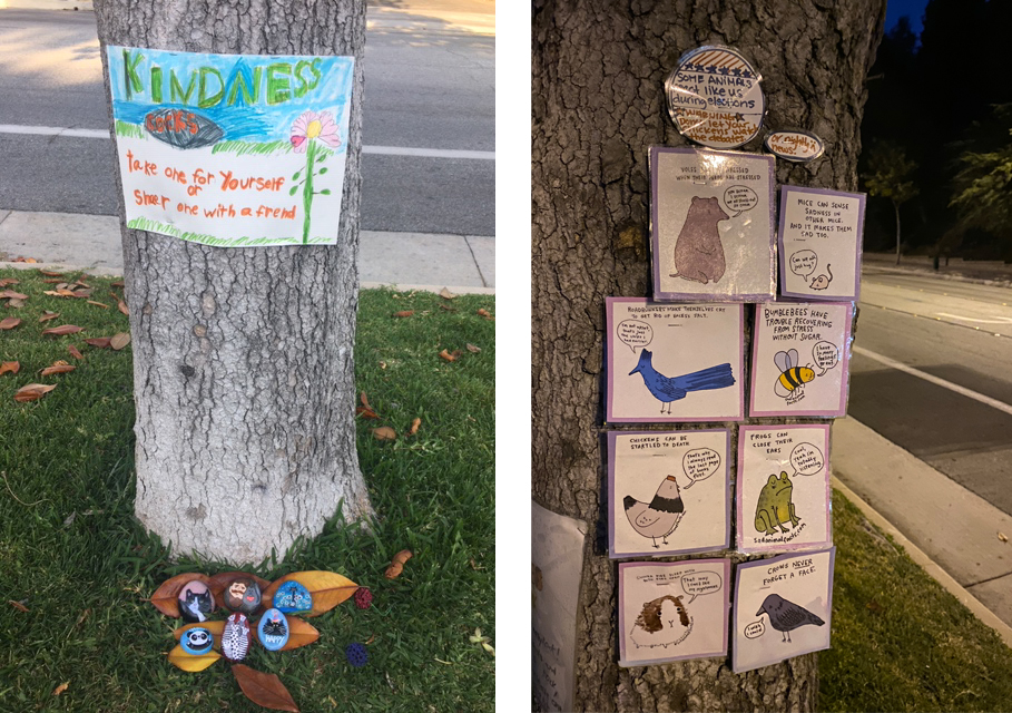 examples of signs made by kids on trees