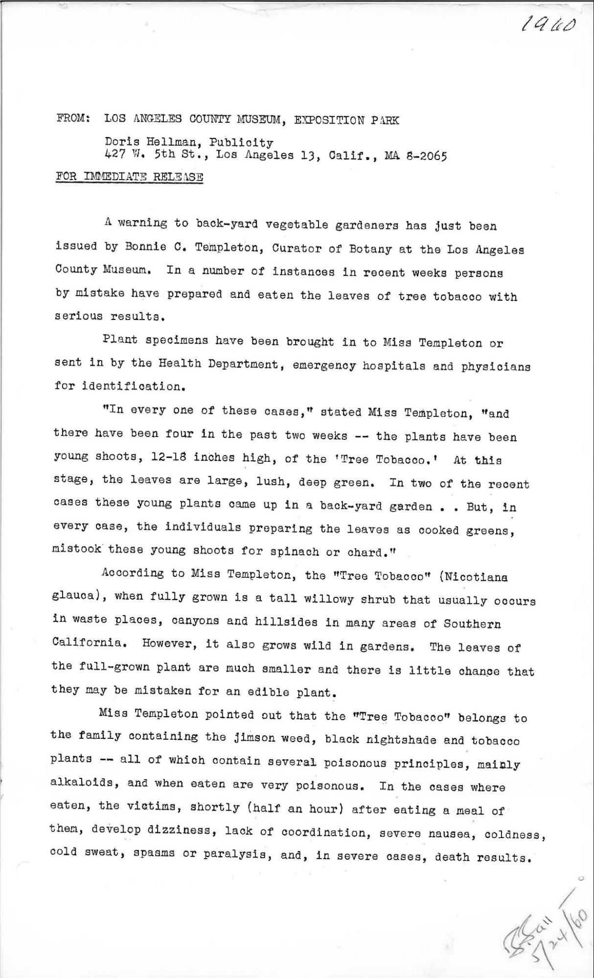 Press release warning the public against mistaking Nicotiana glauca (tree tobacco) for edible greens, following several poisoning incidents investigated by the Health Department, 1960, © Museum Associates/LACMA