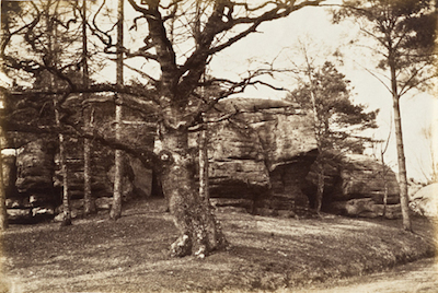  Henrietta Augusta Mostyn, Tree and Rock, c. 1850, The Marjorie and Leonard Vernon Collection, gift of The Annenberg Foundation, acquired from Carol Vernon and Robert Turbin