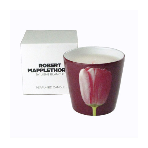 Mapplethorpe_Candle_Red_tulip_and_box.6_large