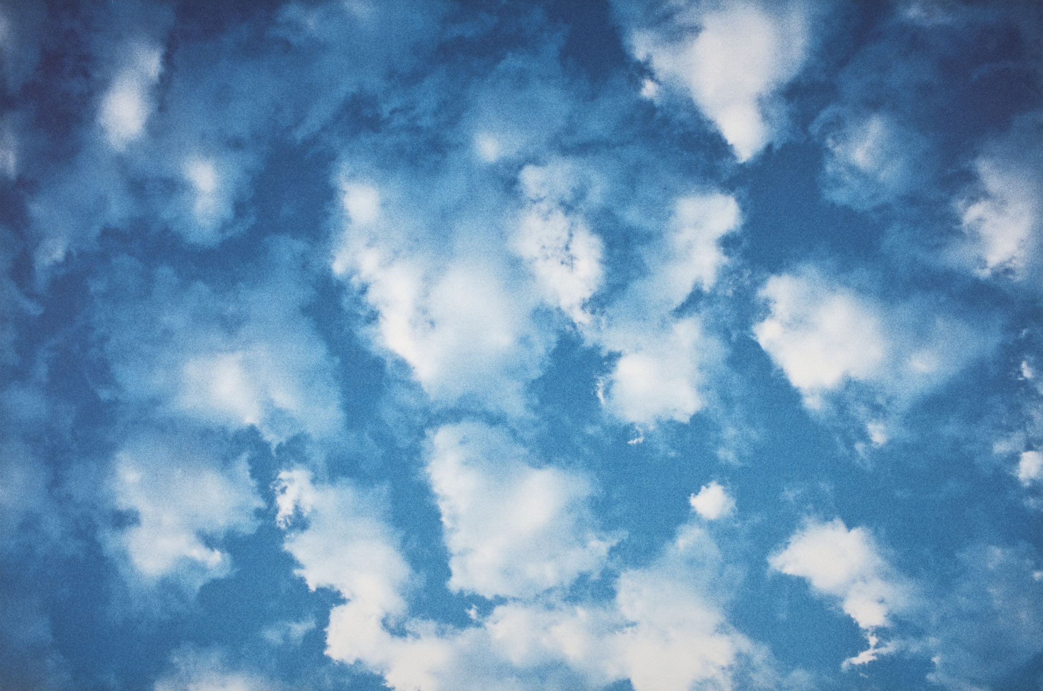 50 Works 50 Weeks: William Eggleston's “Untitled” | Unframed