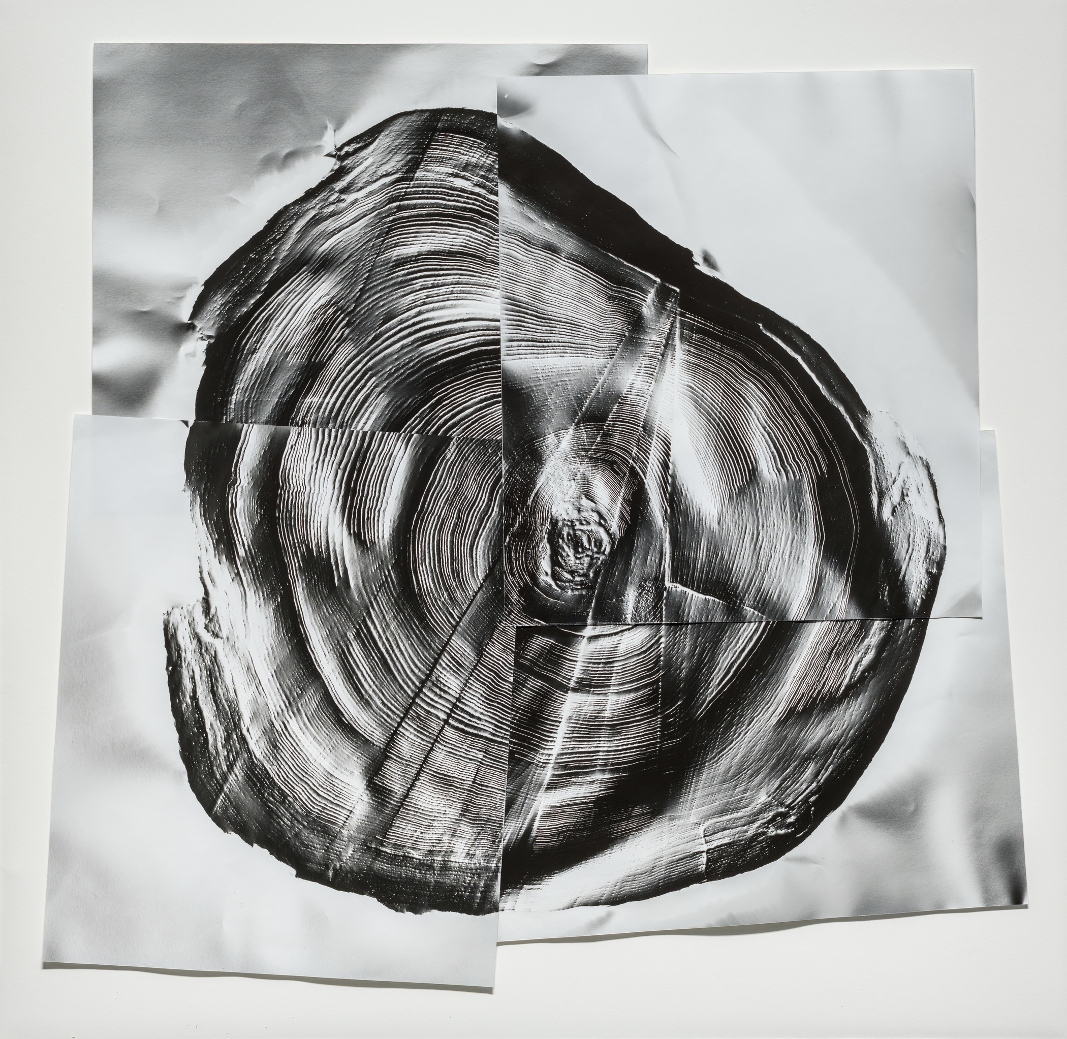 Sounds of Nature | Unframed