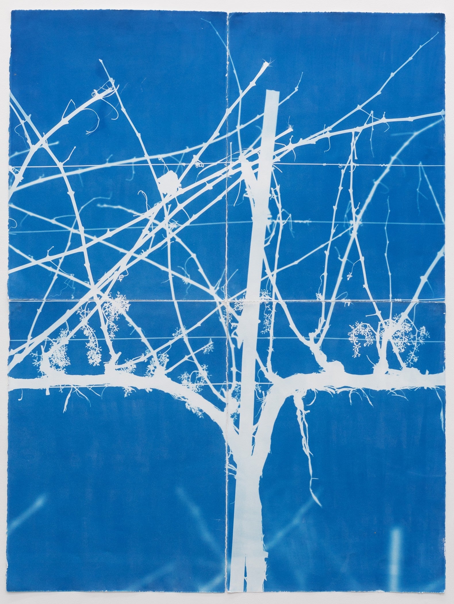 This Week at LACMA | Unframed