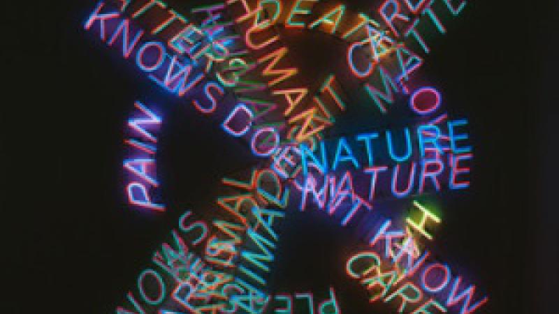 This Weekend at LACMA: Human Nature, Vija Celmins Catherine Deneuve Series, Philip Glass, Nowruz Celebration, and More