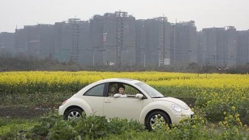 Land of the Lost: My Top 5 AFI FEST Picks