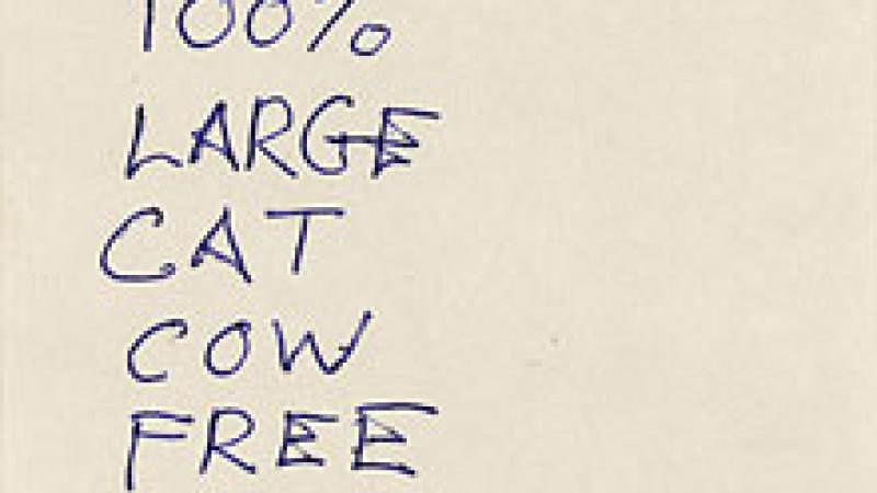 Small Pleasures in the Permanent Collection