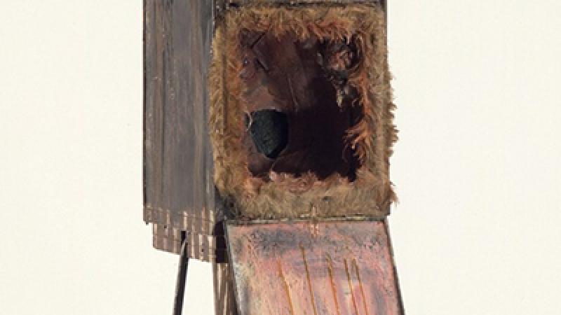 Commentary versus Fact: Mutually Exclusive?