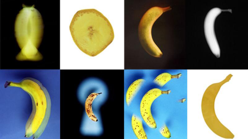 Bananas for Moholy-Nagy