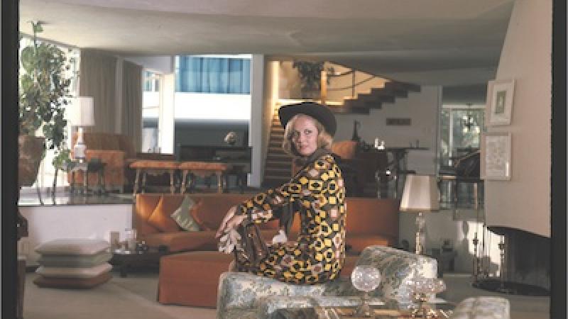 The Telenovela in the Art Museum