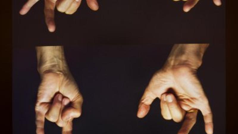 I Am a Young Artist and I Am at LACMA. Anything I Do Here is Art