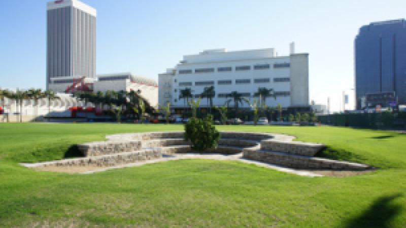 Public Fruit Theater: A Conversation with Fallen Fruit