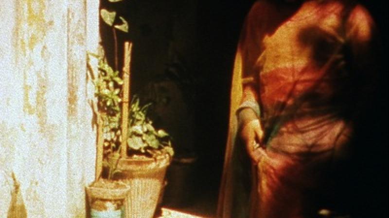 Eating Grass: Q&A with Filmmaker Alia Syed