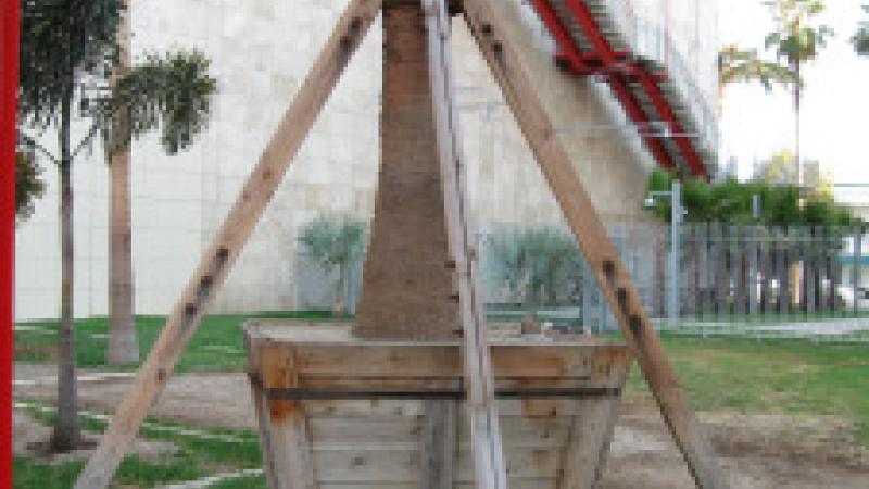 Follow Up: Palm Planters