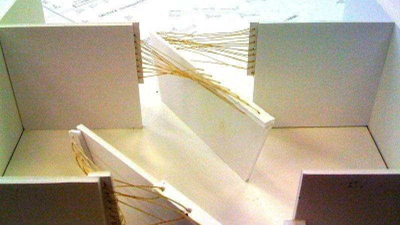 The Anatomy of an Exhibition