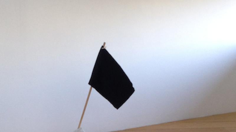 Art Here and Now: Studio Forum Members Speak (and 2014 Acquisitions)