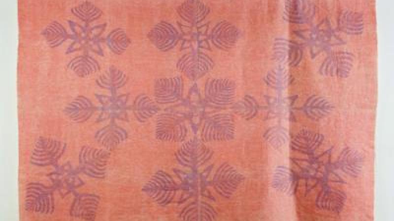 Princess Ka'iulani Slept Here