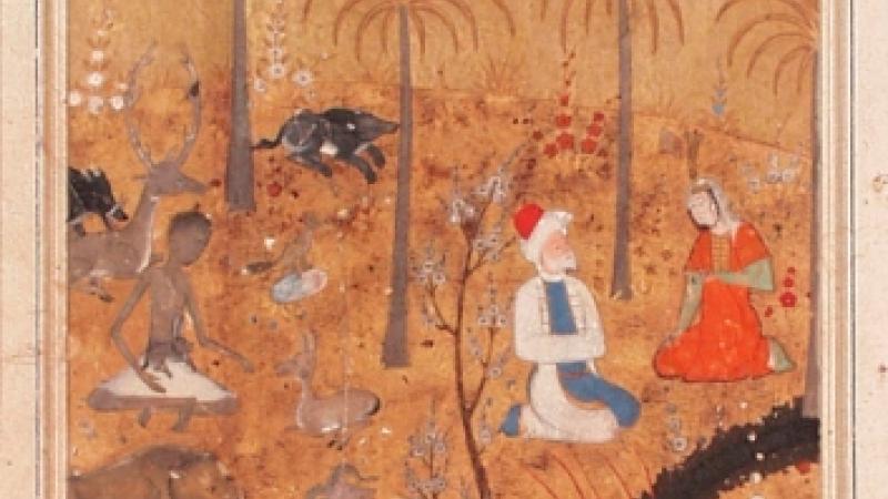 What You're Looking For