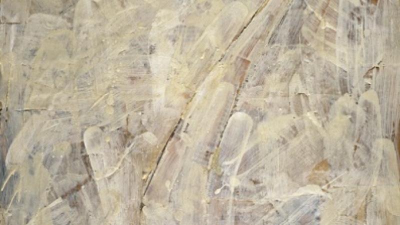 I Pledge Allegiance to Jasper Johns