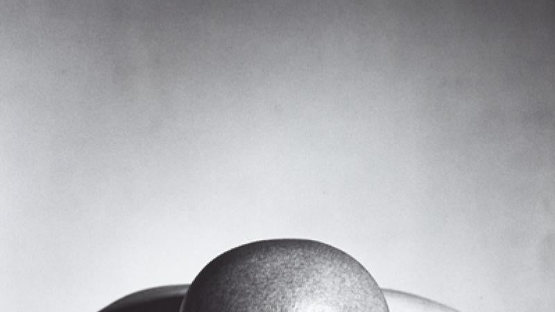 Curators Talk Mapplethorpe at the Getty and LACMA