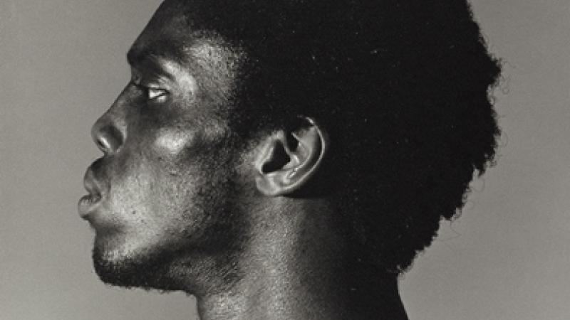 The Emancipation of Black Beauty