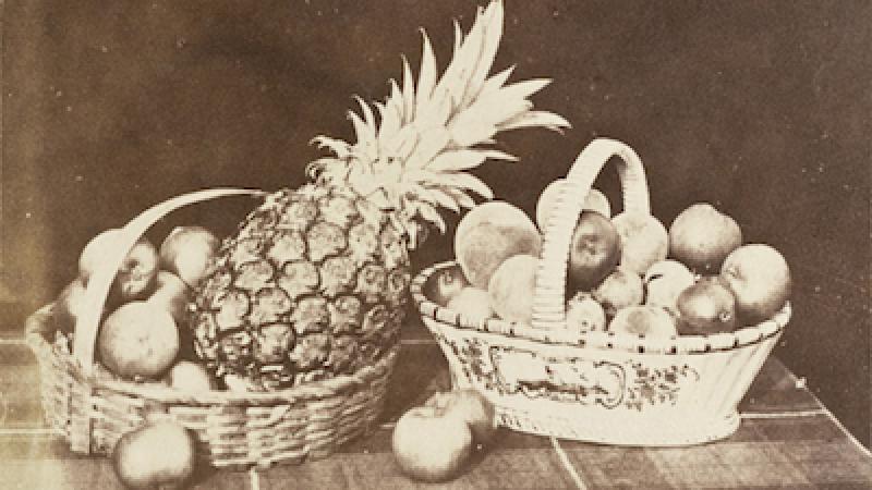 This Weekend at LACMA: 2014 Season of Art & Music Presents Calder Quartet, Free Film and Tours, Can’t-Miss Exhibitions, and More!