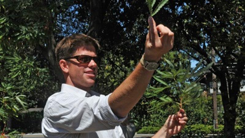 Matt Ritter on the Trees of Robert Adams: The Place We Live