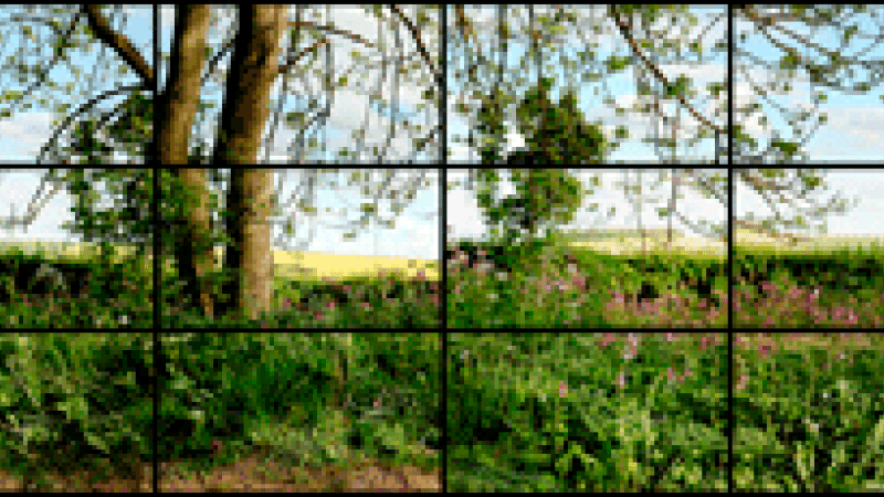 This Weekend at LACMA: Two New Exhibitions, World Premiere of Restored "Rebel Without a Cause," Free Concerts, and More!