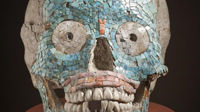 Head Case: Contemplating Craniums in LACMA's Collection