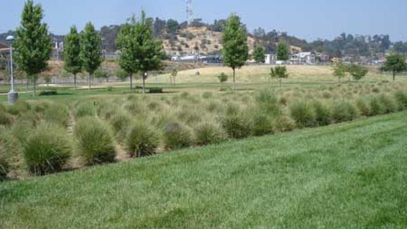 Parks, Sustainable Art, and the Budget