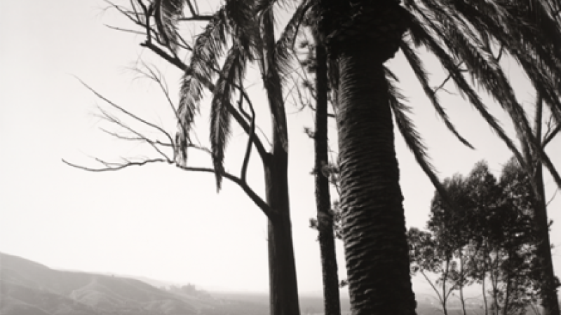 Susan Straight Reads Robert Adams