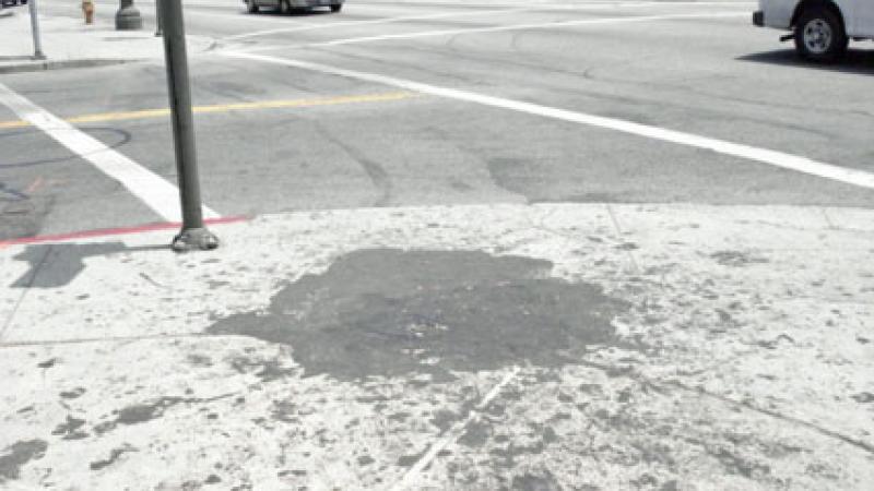 Preserved in Ash, Preserved in Tar