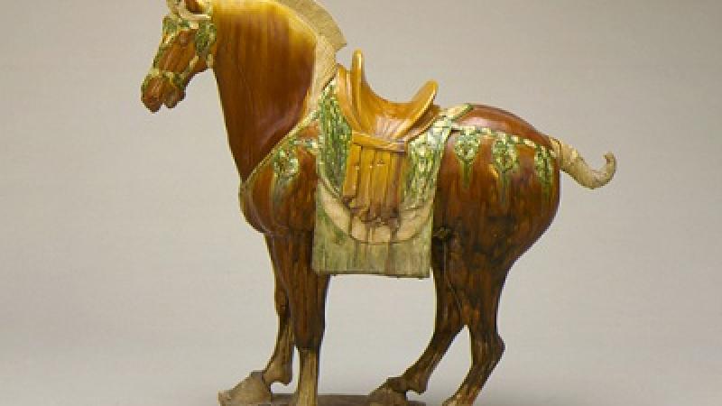 Equine Power, Myth, and Beauty