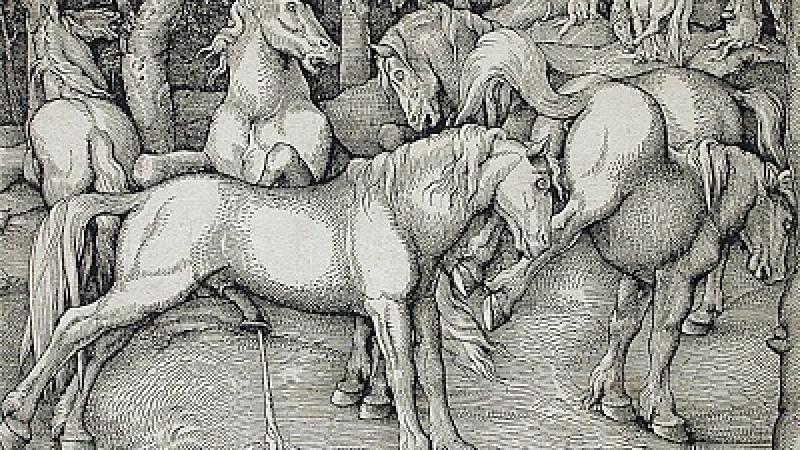 New Installations at LACMA